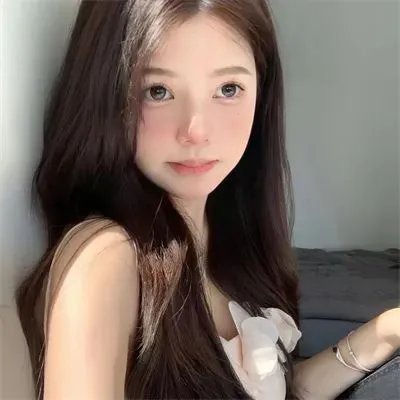 金派特务 封面